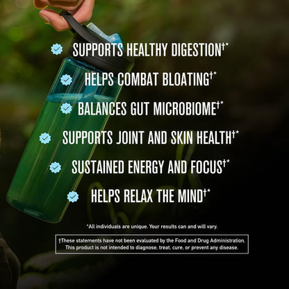 ROUNDHOUSE PROVISION Morning Kick, Zero Sugar Greens Superfood Powder Supplement with Ashwagandha, Collagen, Probiotics, Debloat Drink,  (Strawberry Lemonade) by Chuck Norris